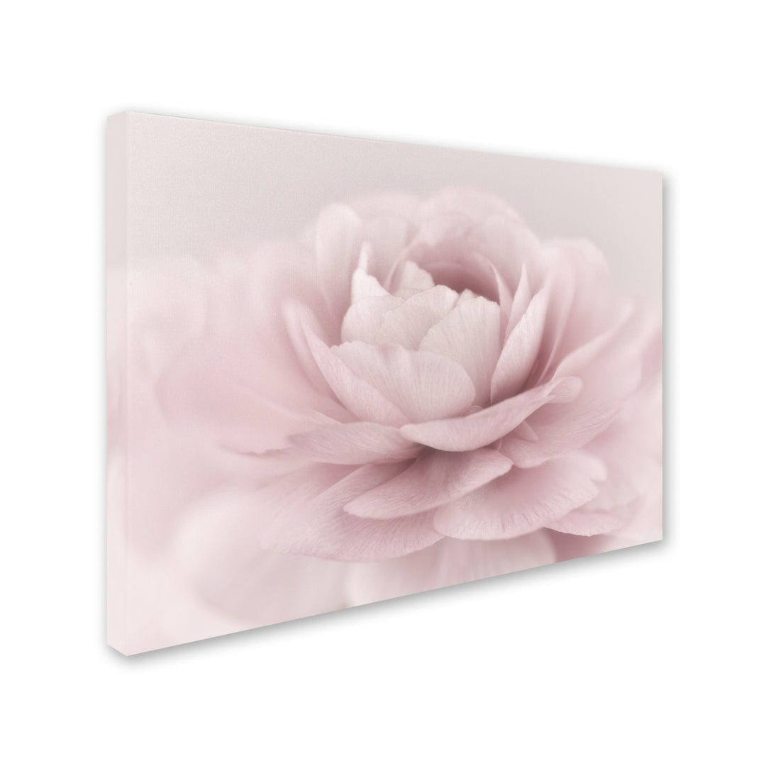 Cora Niele Stylisch Rose Pink Canvas Art 18 x 24 Image 2