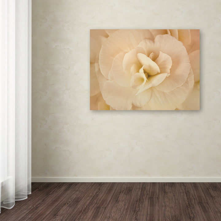 Cora Niele Amber Begonia Flower Canvas Art 18 x 24 Image 3