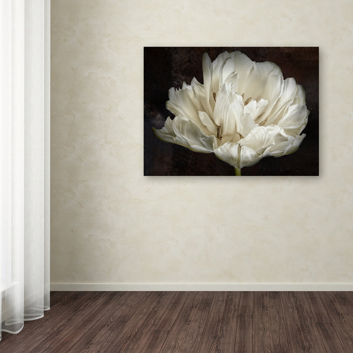 Cora Niele Double White Tulip Canvas Art 18 x 24 Image 3