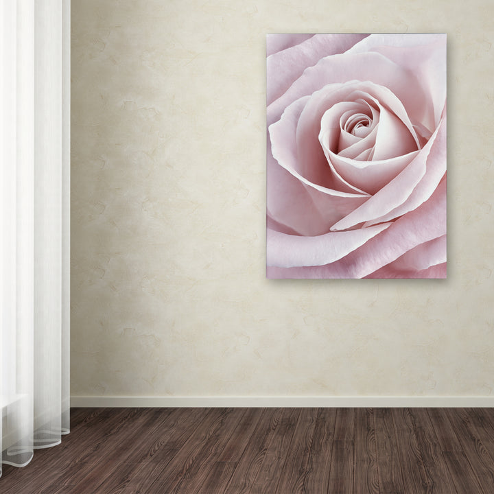 Cora Niele Pink Rose Canvas Art 18 x 24 Image 3