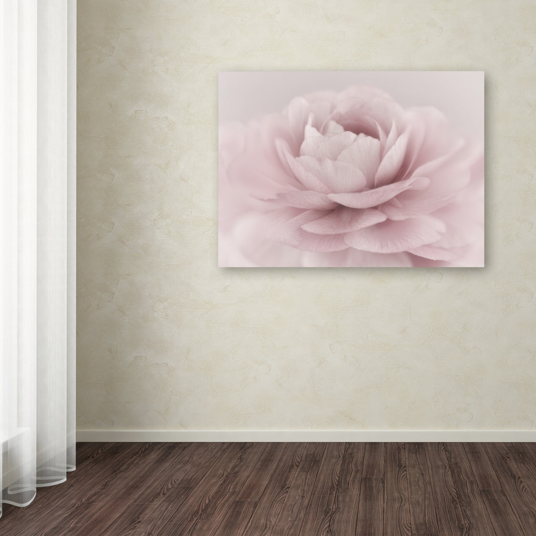 Cora Niele Stylisch Rose Pink Canvas Art 18 x 24 Image 3