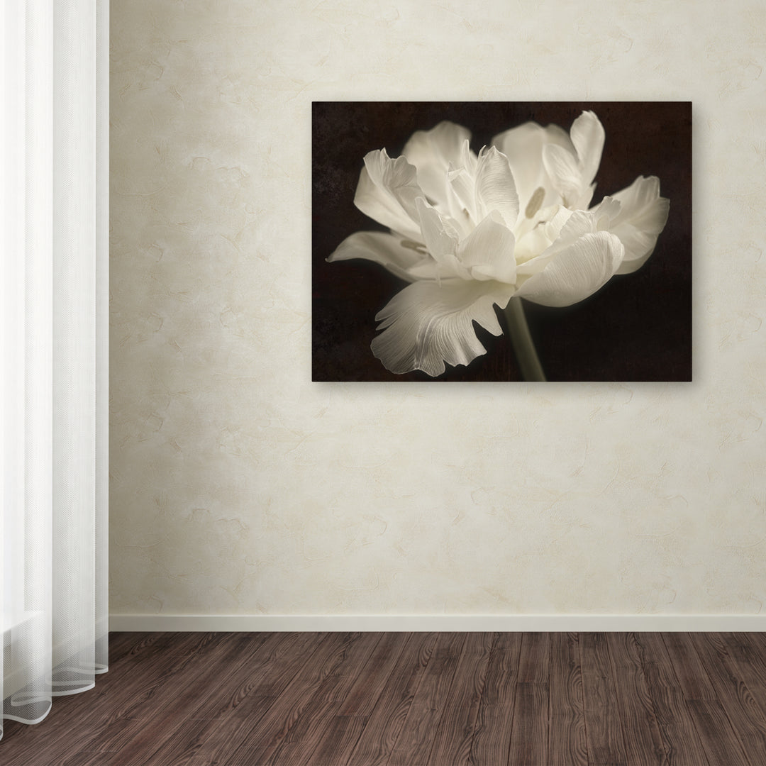 Cora Niele White Tulip II Canvas Art 18 x 24 Image 3