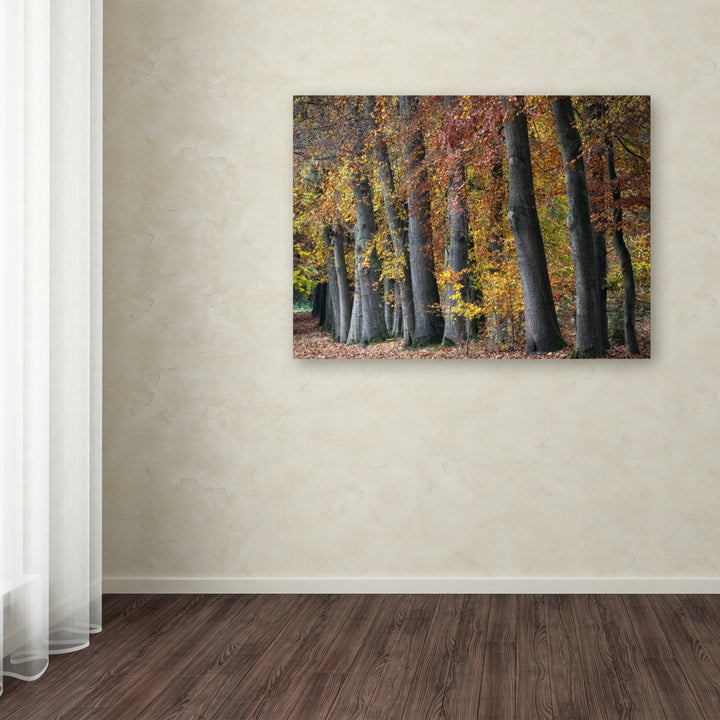 Cora Niele Autumn Beeches I Canvas Art 18 x 24 Image 3