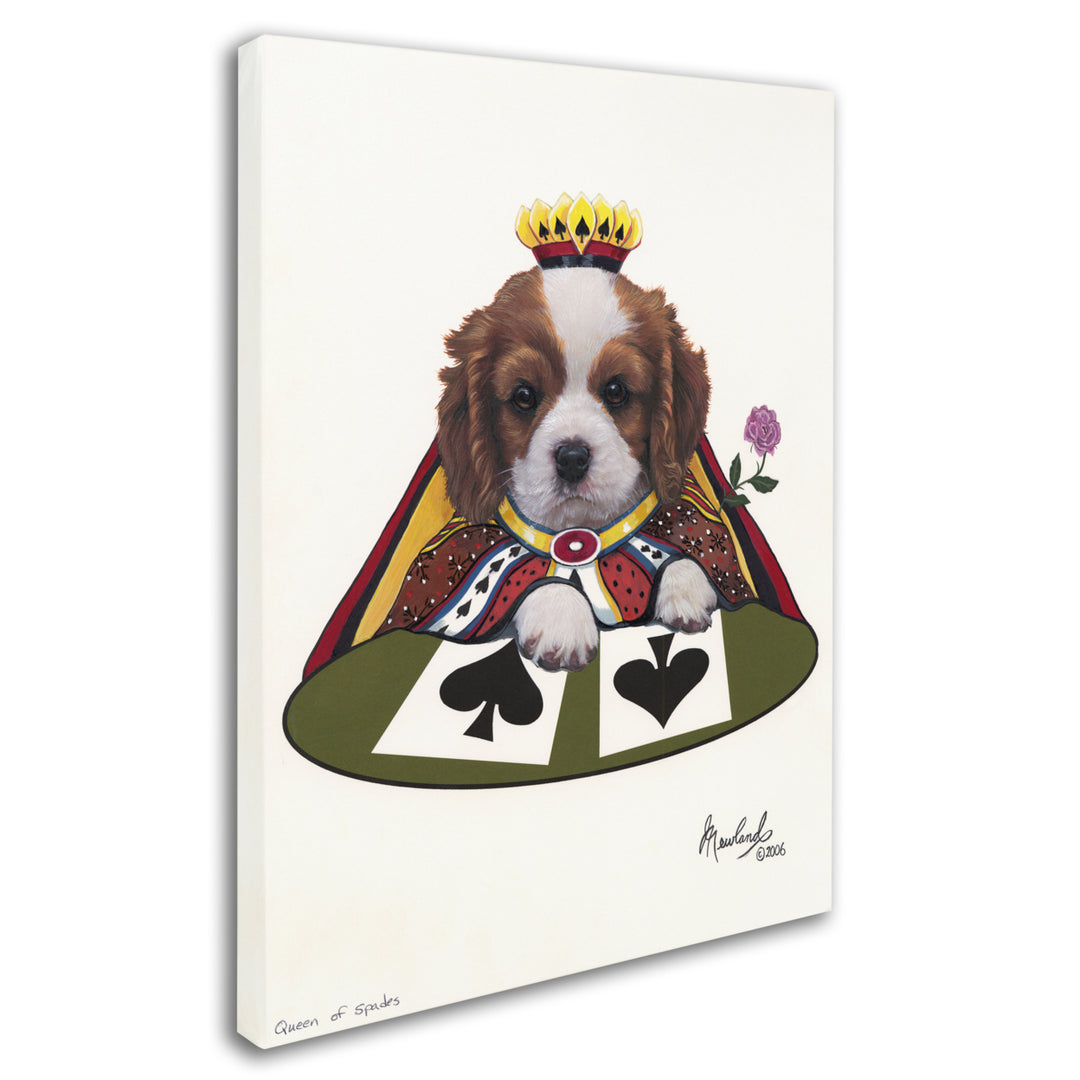 Jenny Newland Queen Of Spades Canvas Art 18 x 24 Image 2