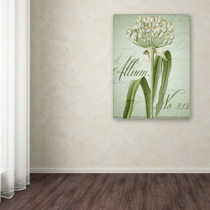 Color Bakery Allium I Canvas Art 18 x 24 Image 3