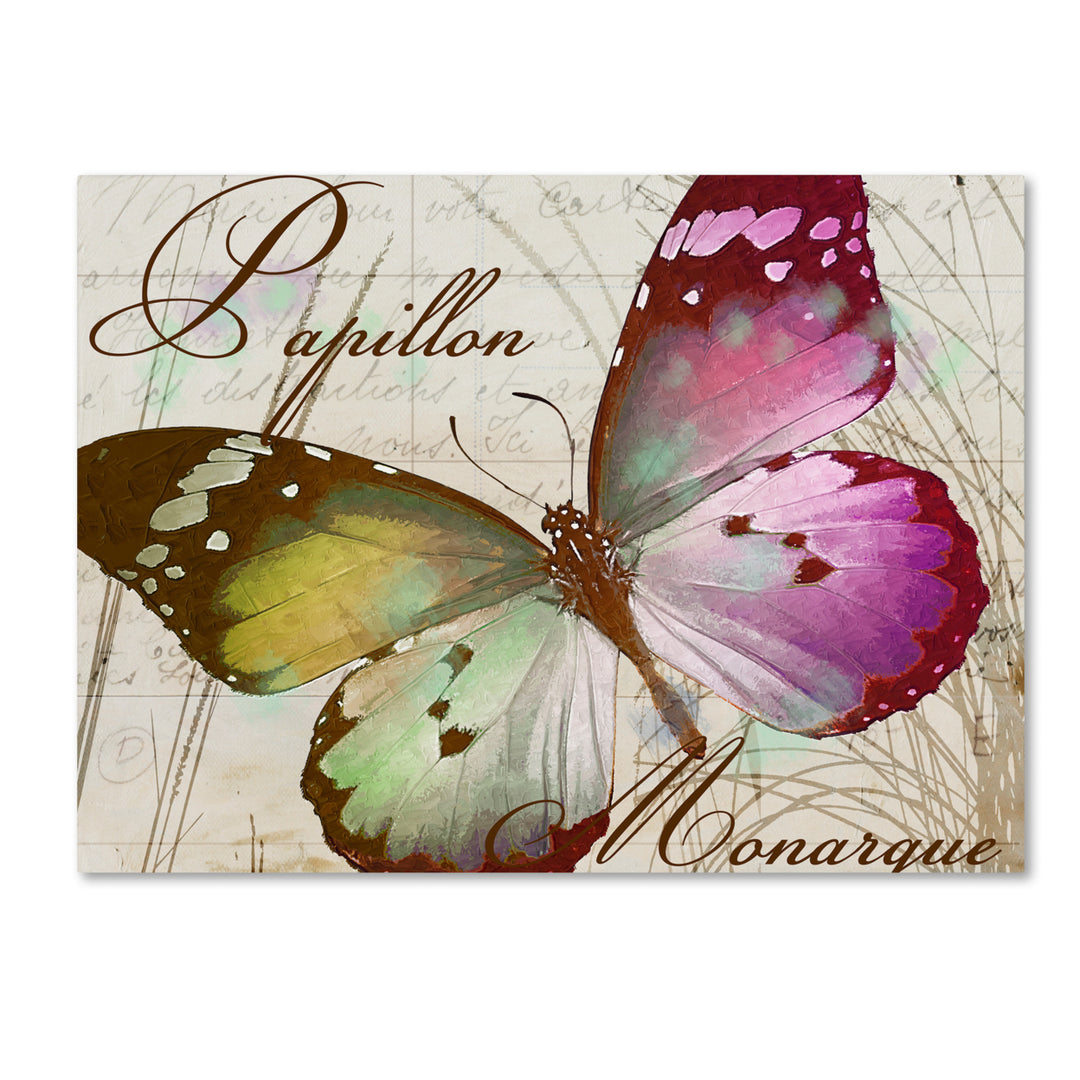 Color Bakery Papillon II Canvas Art 18 x 24 Image 1