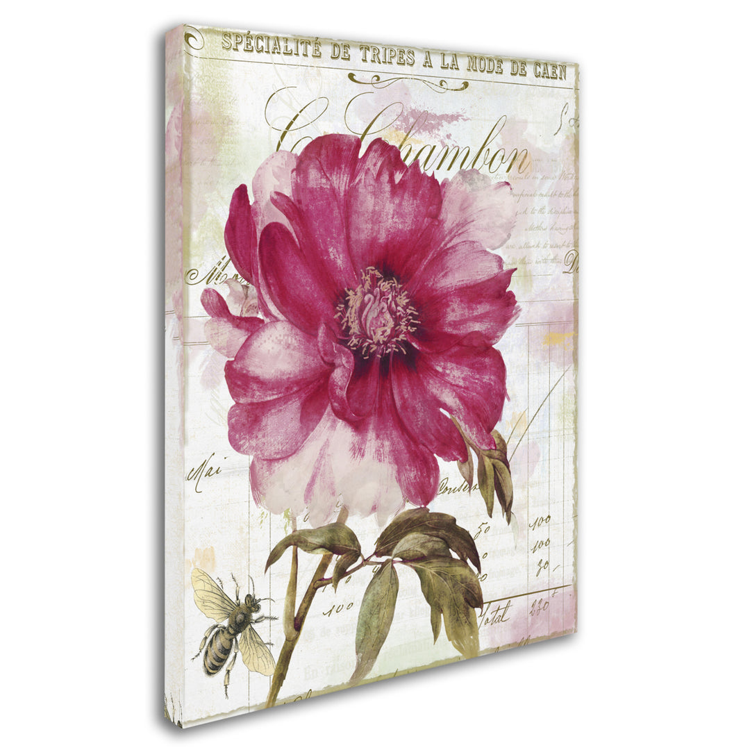 Color Bakery Pink Peony Canvas Art 18 x 24 Image 2