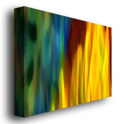 Amy Vangsgard Fire and Water Canvas Art 18 x 24 Image 3