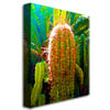 Amy Vangsgard Tall Cactus Canvas Art 18 x 24 Image 2