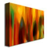 Amy Vangsgard Forest Sunlight Horizontal Canvas Art 18 x 24 Image 2