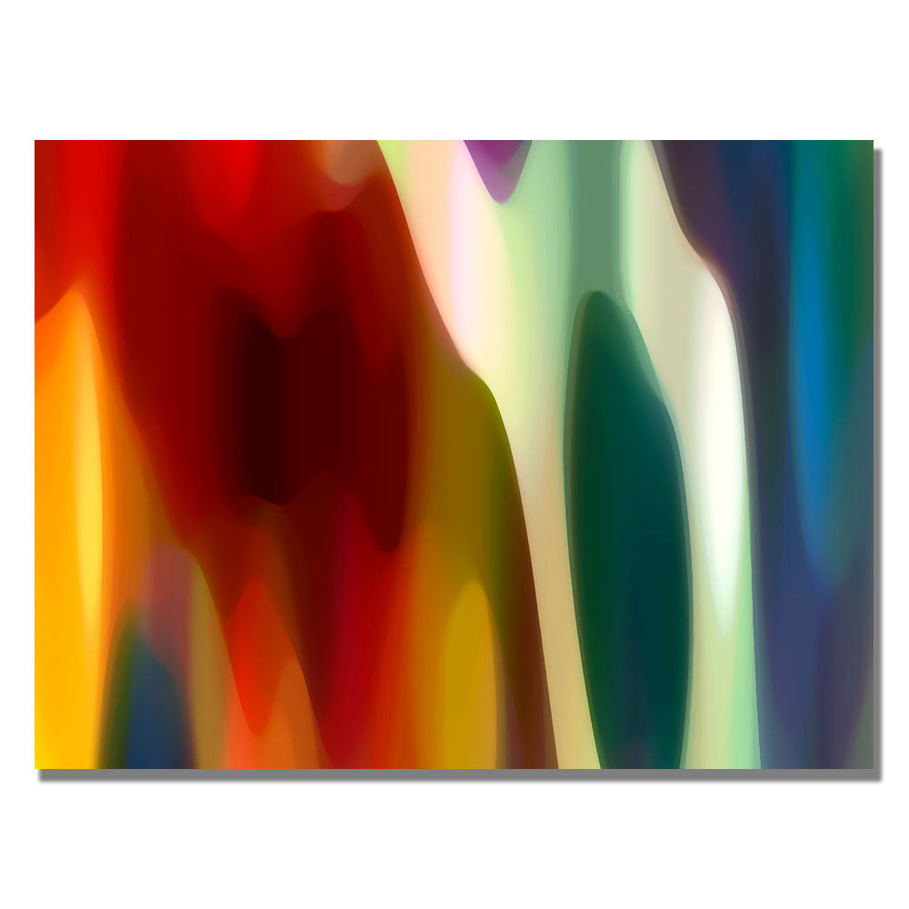 Amy Vangsgard Color Fury III Canvas Art 18 x 24 Image 1