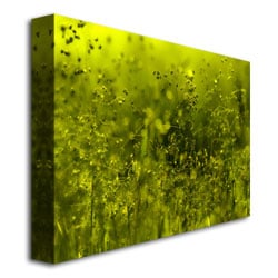 Beata Czyzowska Symphony in Green Canvas Art 18 x 24 Image 3