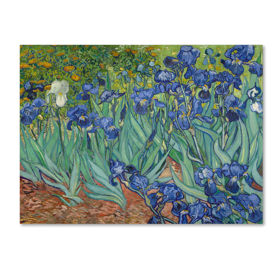 Vincent van Gogh Irises, 1889 Canvas Art 18 x 24 Image 1