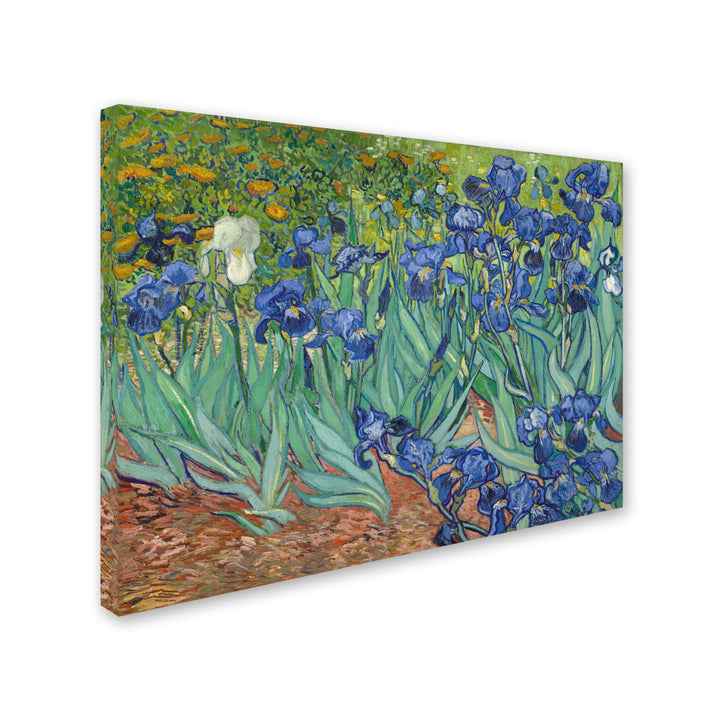 Vincent van Gogh Irises, 1889 Canvas Art 18 x 24 Image 2