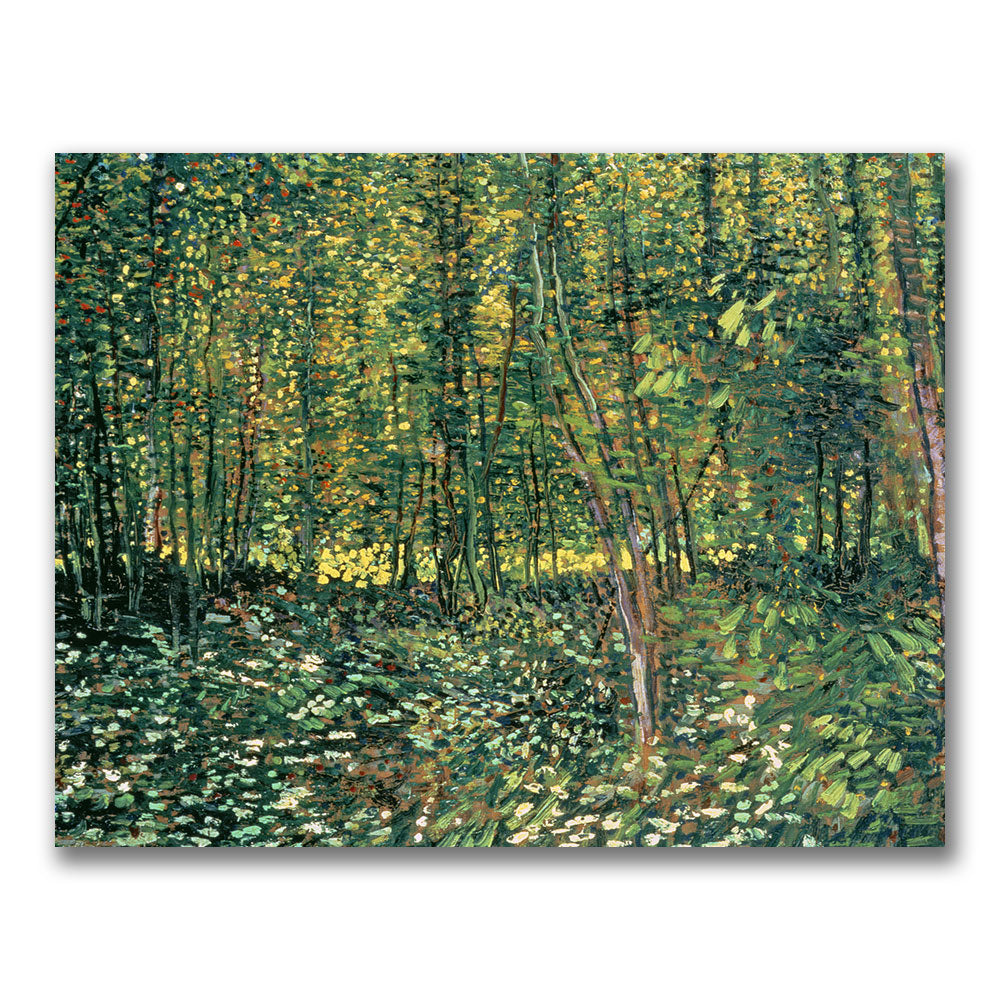 Vincent Van Gogh Trees and Undergrowth,  1887 Canvas Art 18 x 24 Image 1