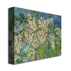 Vincent Van Gogh Blossoming Chesnut Branches Canvas Art 18 x 24 Image 3