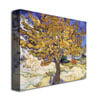 Vincent Van Gogh Mulberry Tree, 1889 Canvas Art 18 x 24 Image 2