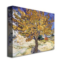 Vincent Van Gogh Mulberry Tree, 1889 Canvas Art 18 x 24 Image 3