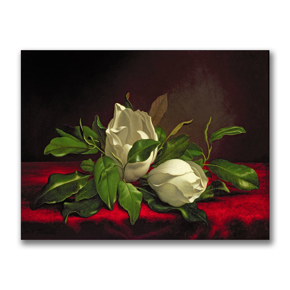 Martin Heade Magnolia Canvas Art 18 x 24 Image 1