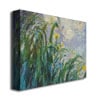 Claude Monet The Yellow Iris Canvas Art 18 x 24 Image 2