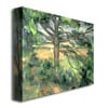 Paul Cezanne The Large Pine Canvas Art 18 x 24 Image 2