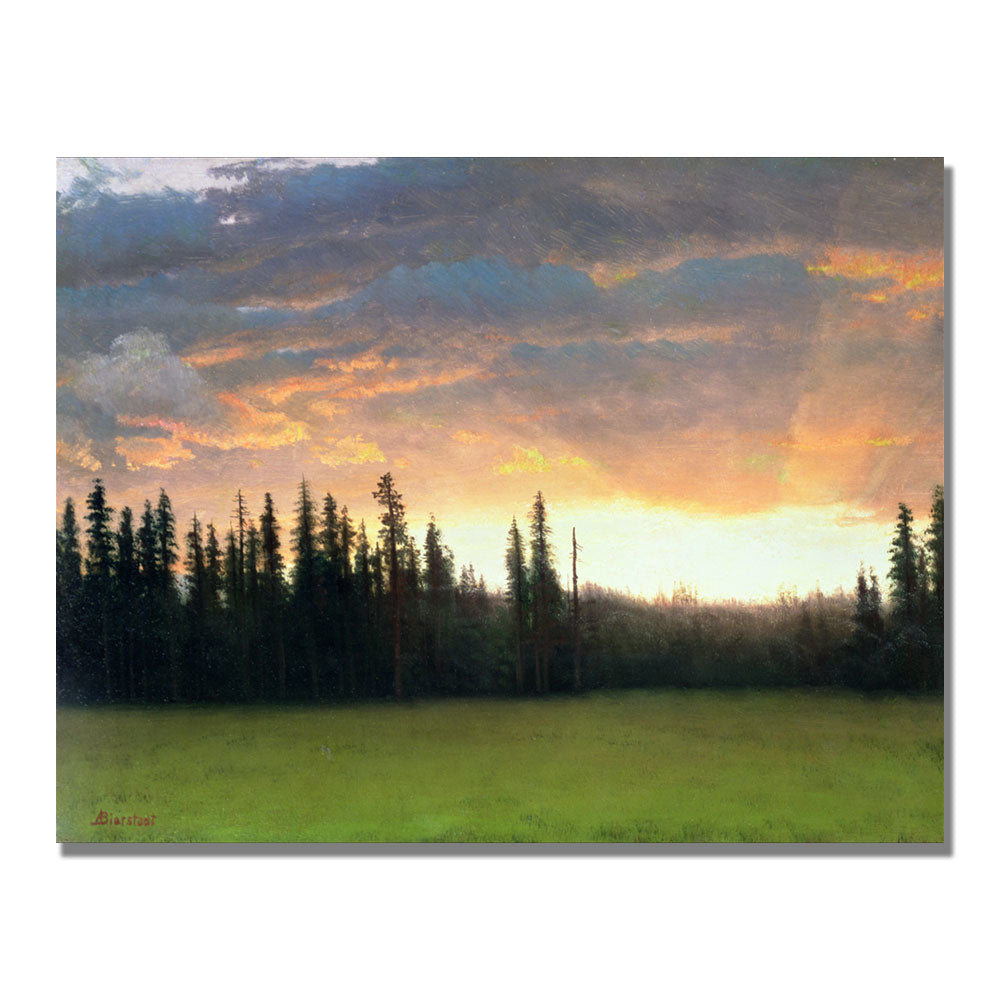Albert Biersdant California Sunset II Canvas Art 18 x 24 Image 1
