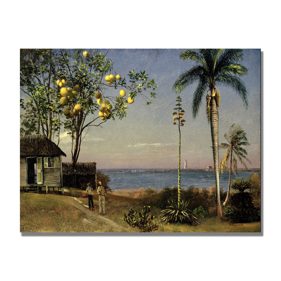 Albert Biersdant Tropical Scene Canvas Art 18 x 24 Image 1