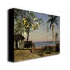 Albert Biersdant Tropical Scene Canvas Art 18 x 24 Image 2