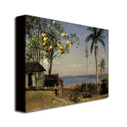 Albert Biersdant Tropical Scene Canvas Art 18 x 24 Image 3