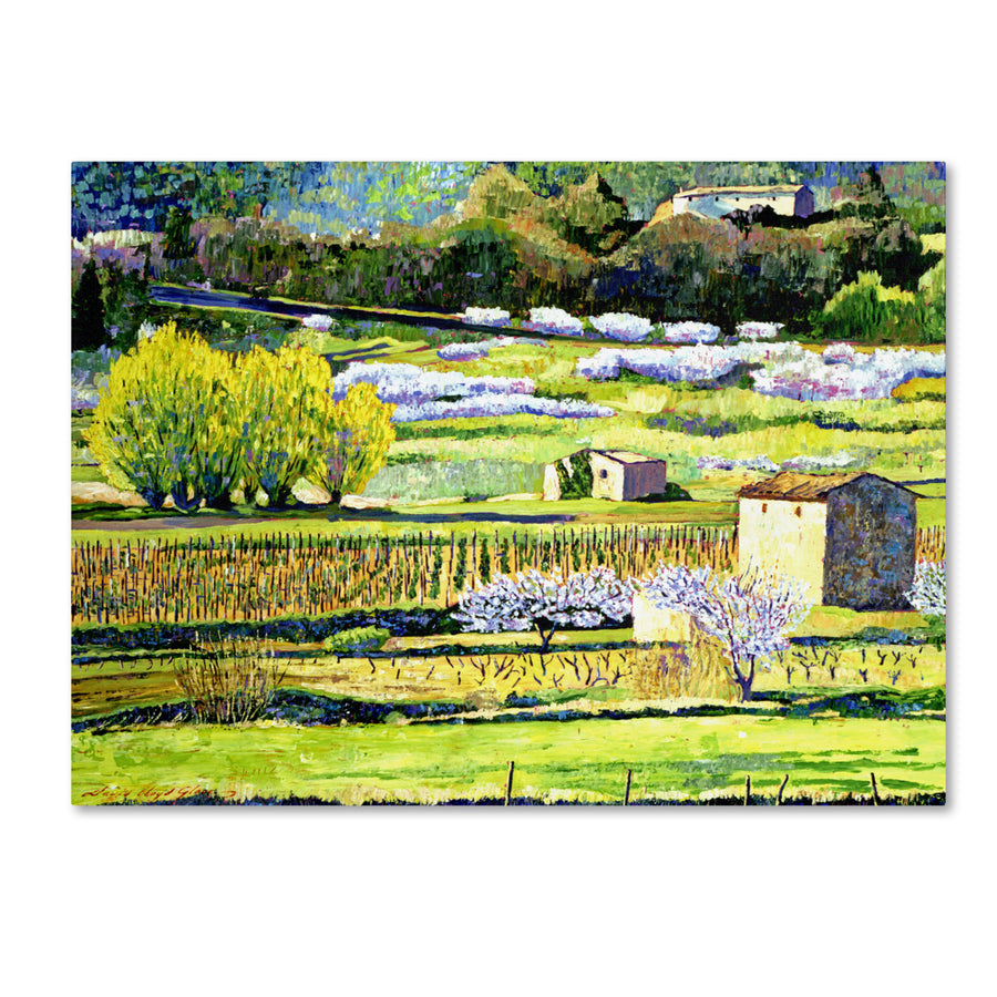 David Lloyd Glover Bordeaux Vineyards in Spring Canvas Art 18 x 24 Image 1