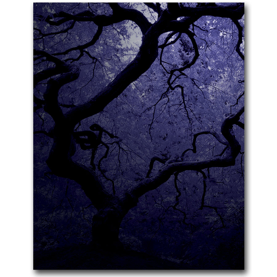 David Farley Japanese Tree III Canvas Art 18 x 24 Image 1