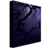 David Farley Japanese Tree III Canvas Art 18 x 24 Image 2