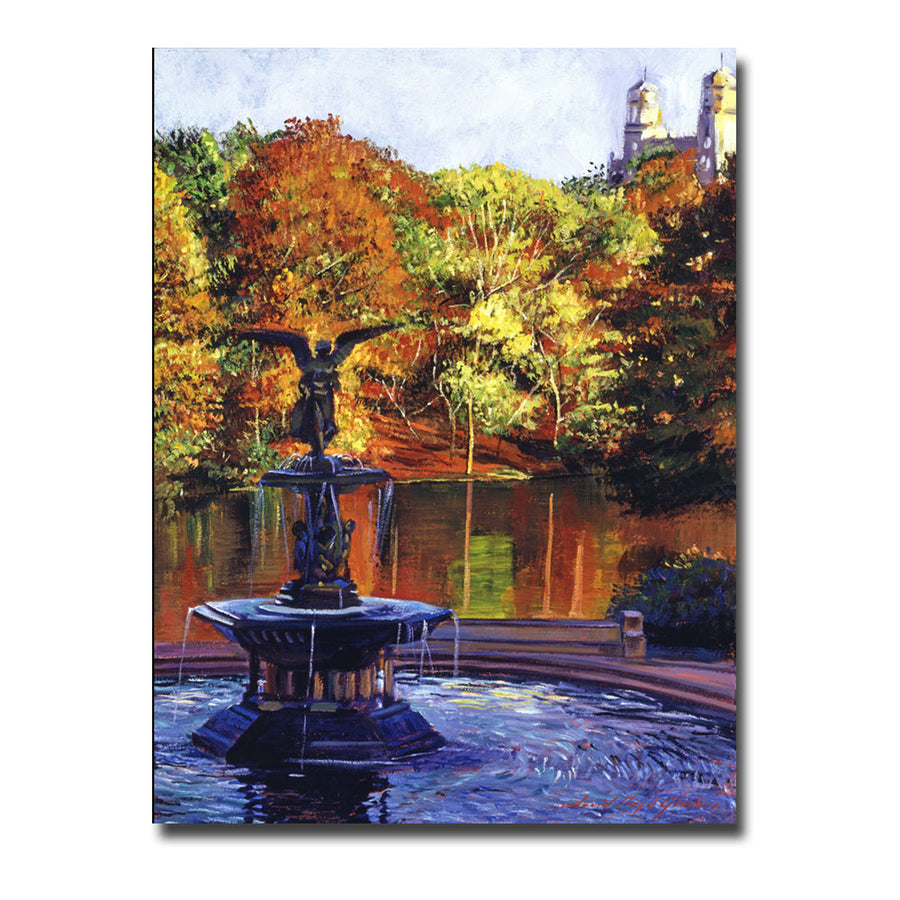 David Lloyd Glover Fountain at Central Park Canvas Art 18 x 24 Image 1