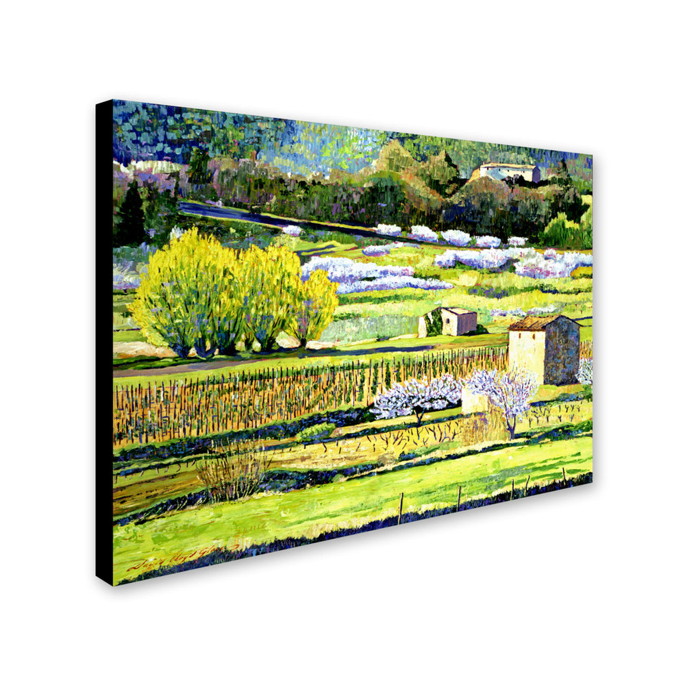 David Lloyd Glover Bordeaux Vineyards in Spring Canvas Art 18 x 24 Image 2