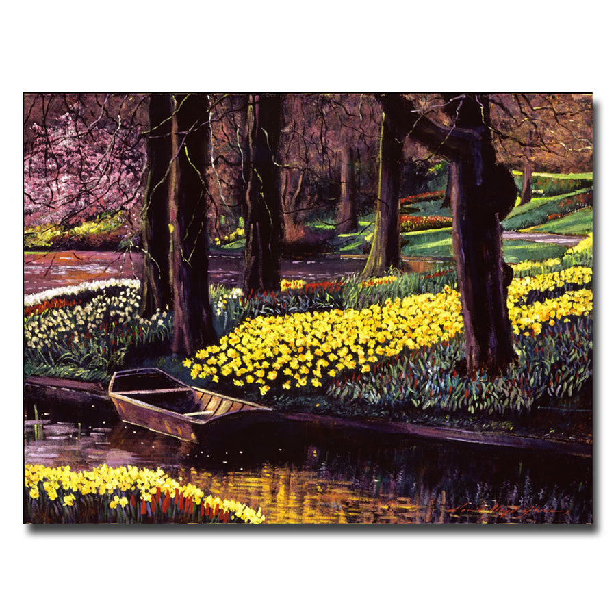 David Lloyd Glover Daffodil Park Canvas Art 18 x 24 Image 1