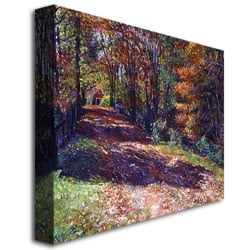 David Lloyd Glover Old Farmhouse Road Canvas Art 18 x 24 Image 3