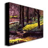 David Lloyd Glover Daffodil Park Canvas Art 18 x 24 Image 2