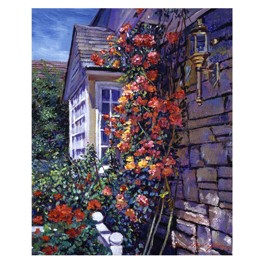 David Lloyd Glover Magnificent Climbing Roses Canvas Art 18 x 24 Image 1