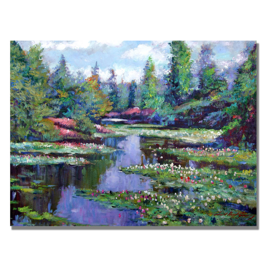 David Lloyd Glover Summer Waterlillies Canvas Art 18 x 24 Image 1