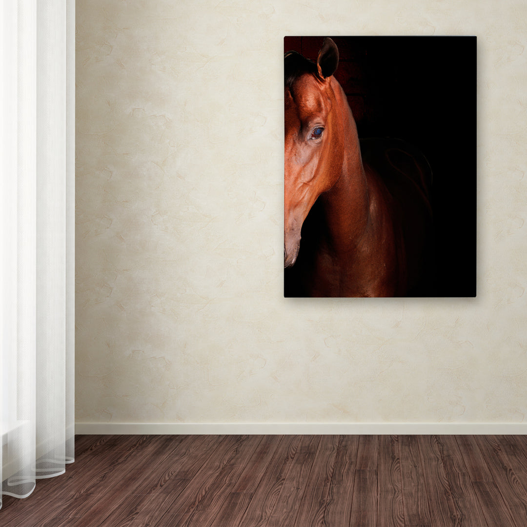 Preston Kentucky horse Intense Canvas Art 18 x 24 Image 3