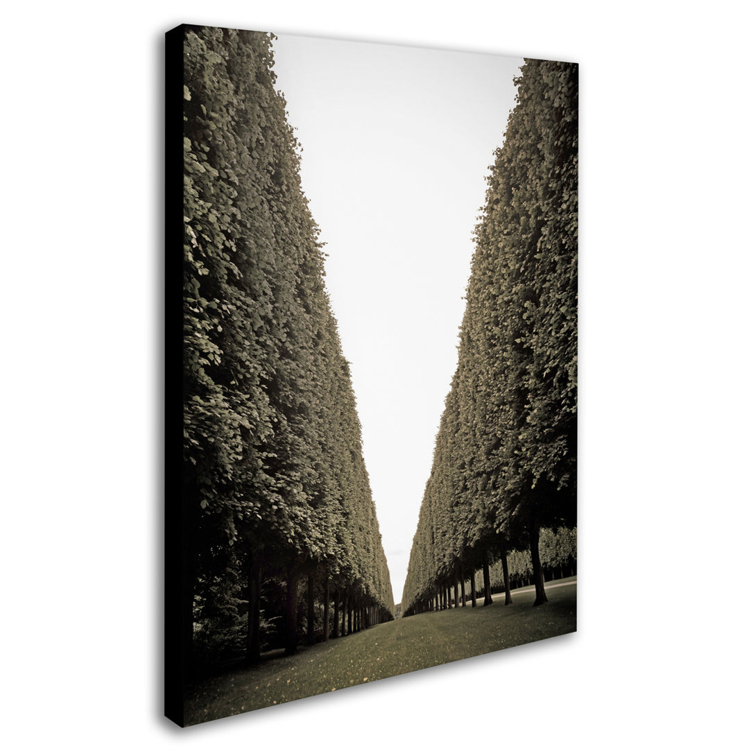 Preston Parisian Versailles Trees Canvas Art 18 x 24 Image 2