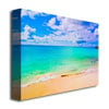 Preston Maho Beach Canvas Art 18 x 24 Image 2