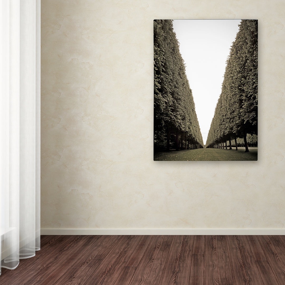 Preston Parisian Versailles Trees Canvas Art 18 x 24 Image 3