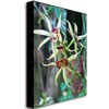 Kathie McCurdy Orchids Canvas Art 18 x 24 Image 2