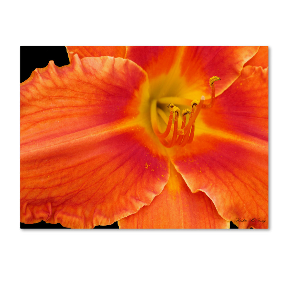 Kathie McCurdy Orange Day Lily Canvas Art 18 x 24 Image 1