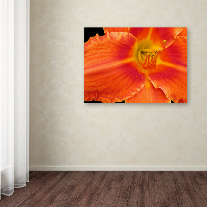 Kathie McCurdy Orange Day Lily Canvas Art 18 x 24 Image 3