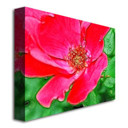 Kathie McCurdy Red Rose Canvas Art 18 x 24 Image 3