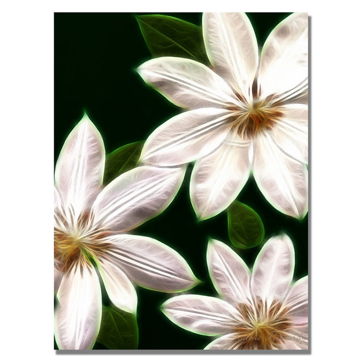 Kathie McCurdy White Clematis Canvas Art 18 x 24 Image 1