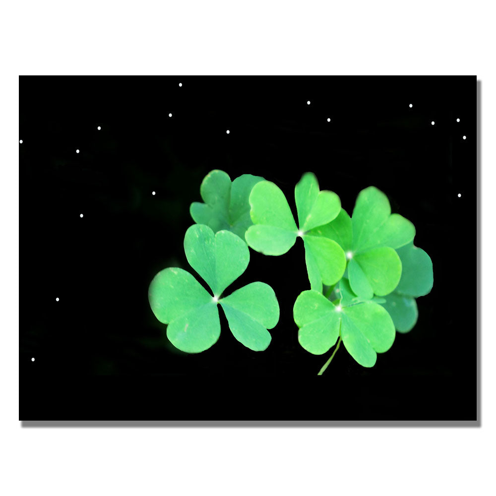 Kathie McCurdy Clover Canvas Art 18 x 24 Image 1