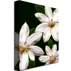 Kathie McCurdy White Clematis Canvas Art 18 x 24 Image 3